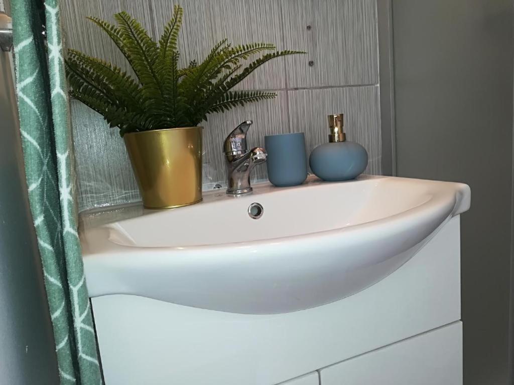 Guesthouse Smart Bukurešť Exteriér fotografie