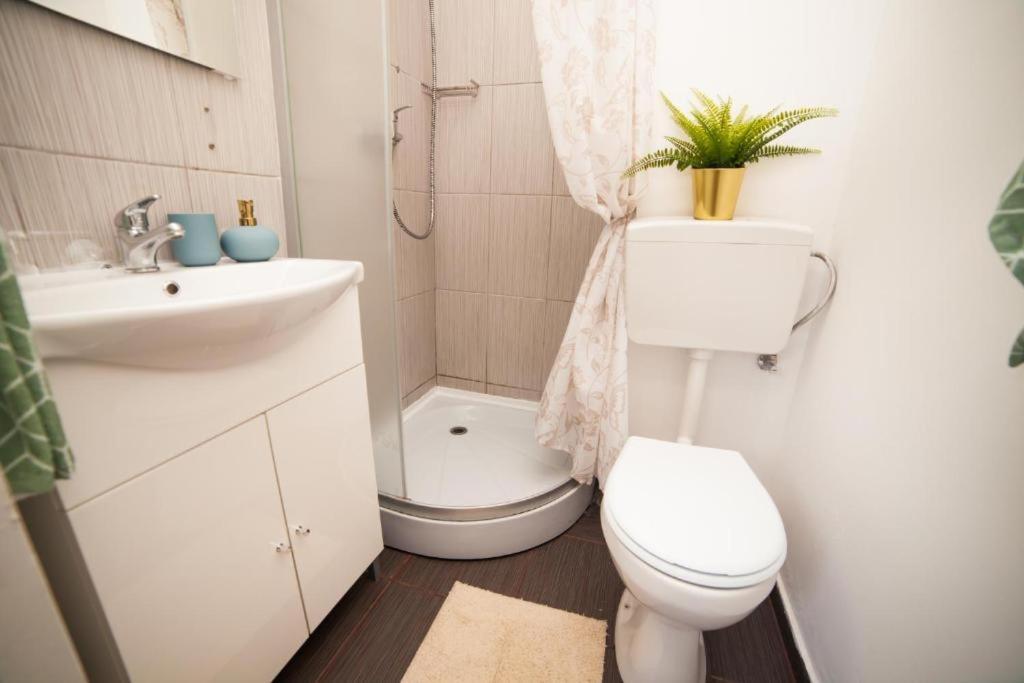 Guesthouse Smart Bukurešť Exteriér fotografie